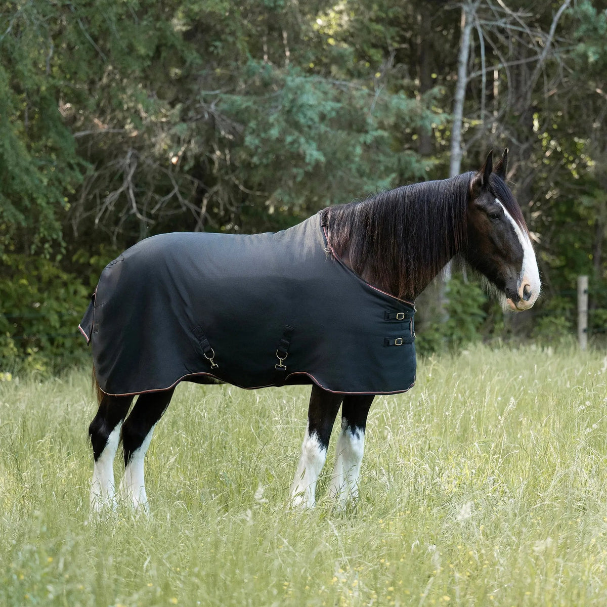 Draft Horse Lightweight 80g Winter Turnout Blanket - Waterproof & Breathable
