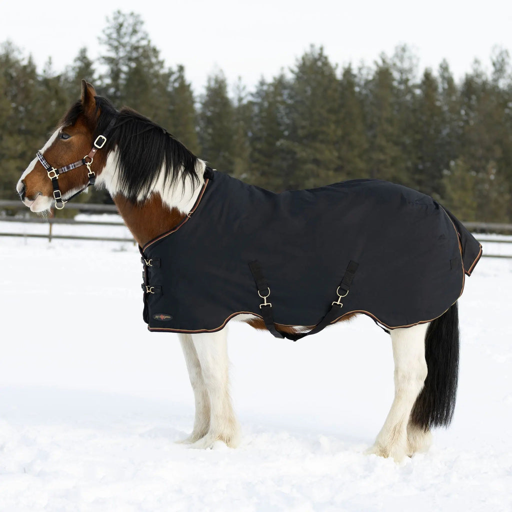 Draft Horse Heavyweight 300g Winter Turnout Blanket - Waterproof & Breathable