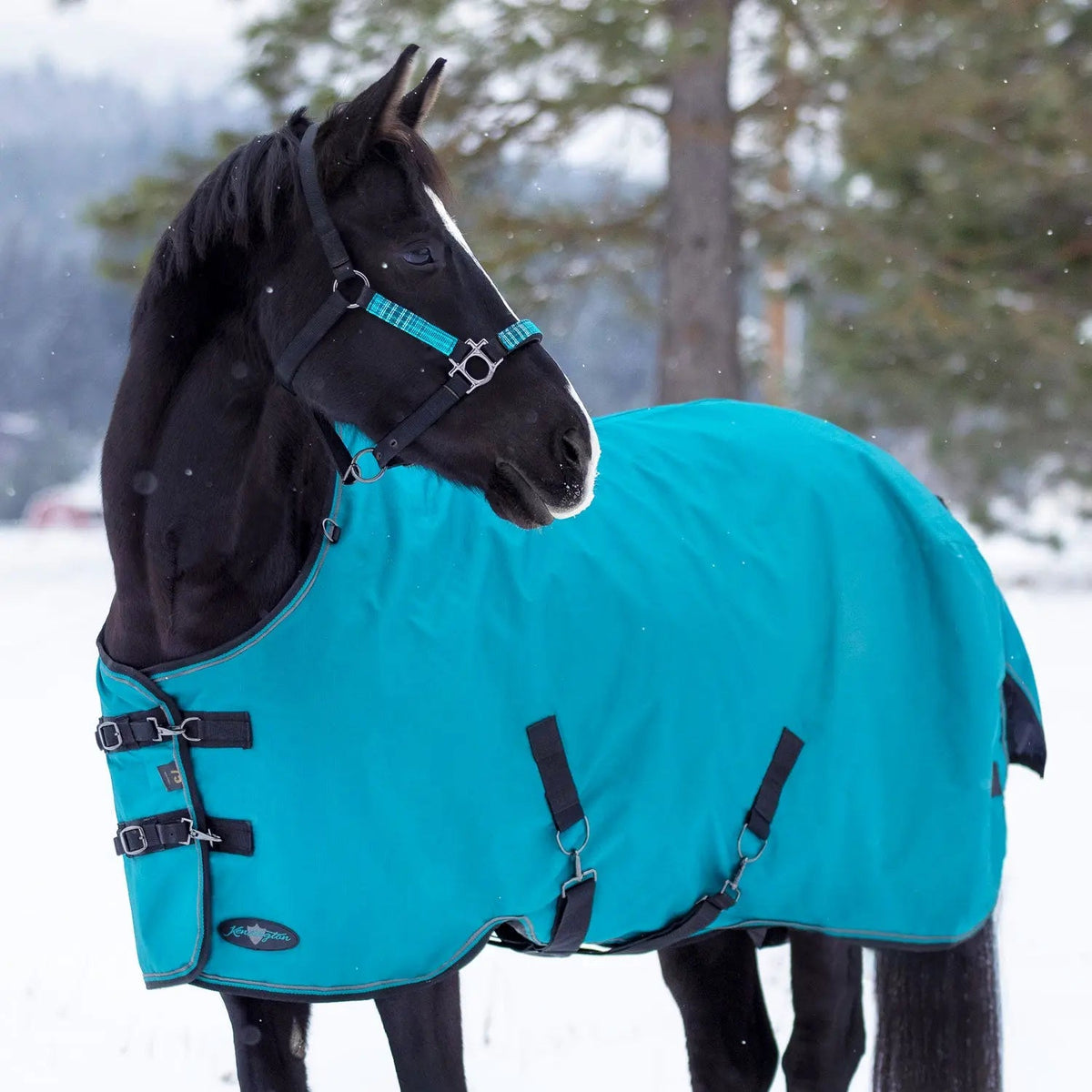 1200D Midweight 180g Horse Winter Turnout Blanket - Waterproof & Breathable