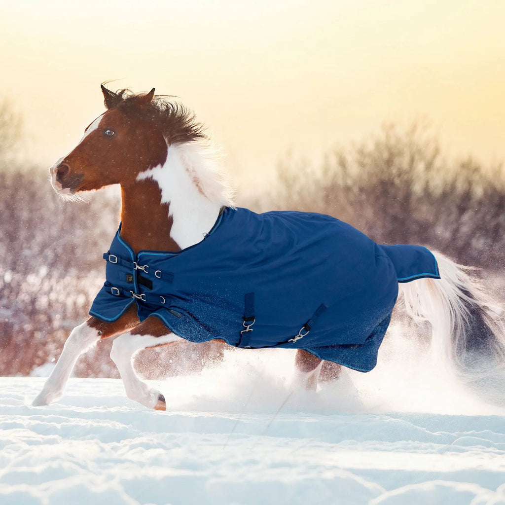 Pony Lightweight 80g Horse Winter Turnout Blanket - Waterproof & Breathable