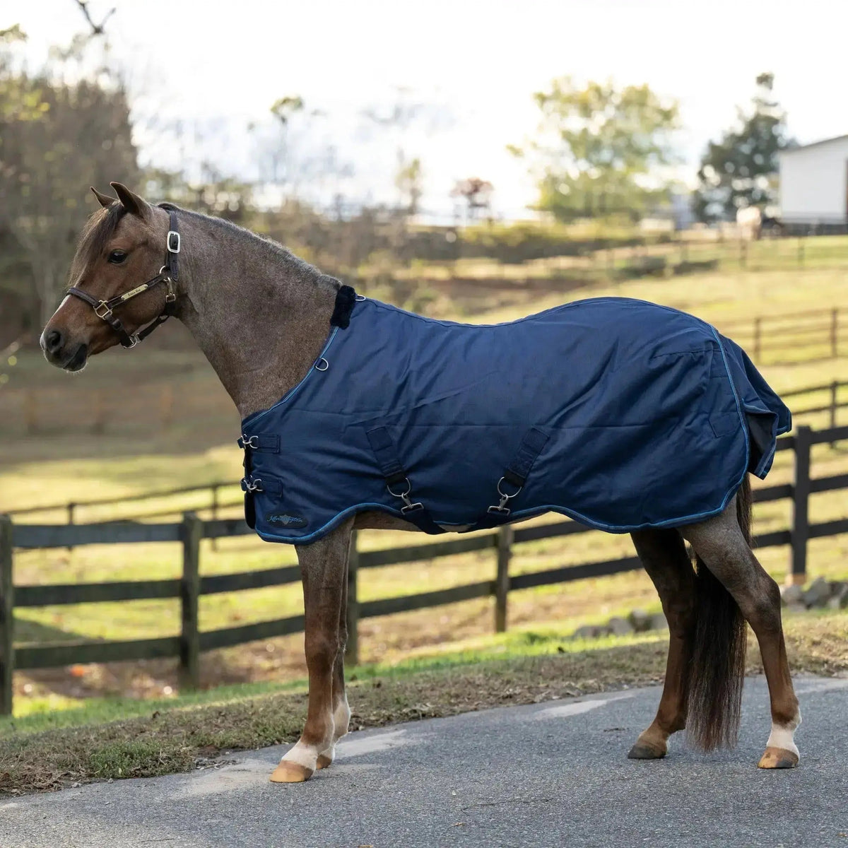 Pony Lightweight 80g Horse Winter Turnout Blanket - Waterproof & Breathable