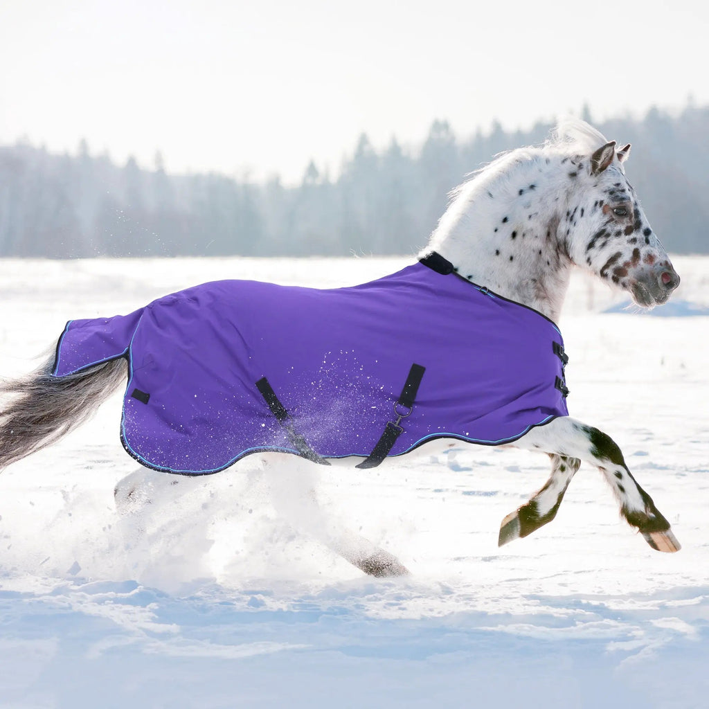 Pony Heavyweight 300g Horse Winter Turnout Blanket - Waterproof & Breathable