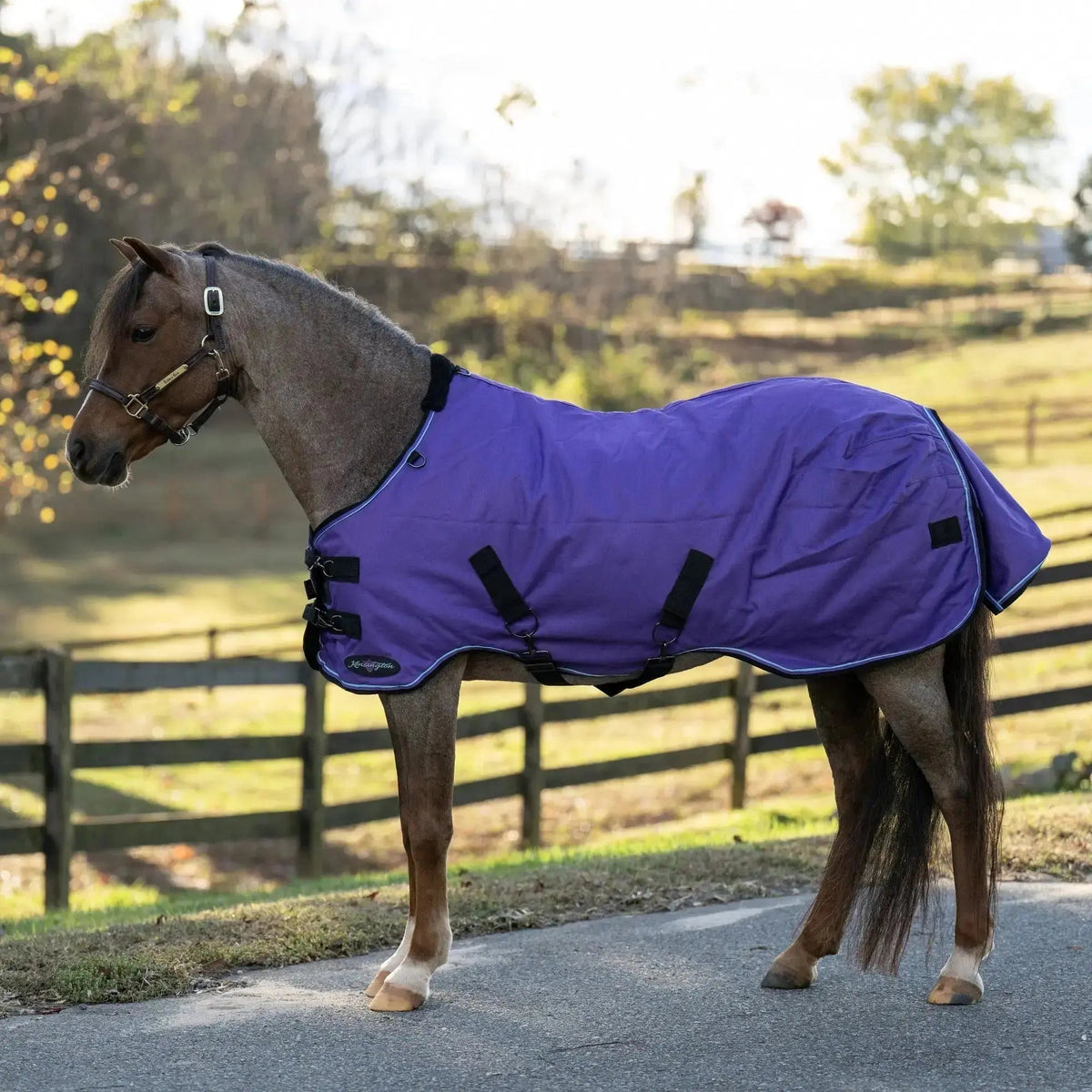 Pony Midweight 180g Horse Winter Turnout Blanket - Waterproof & Breathable