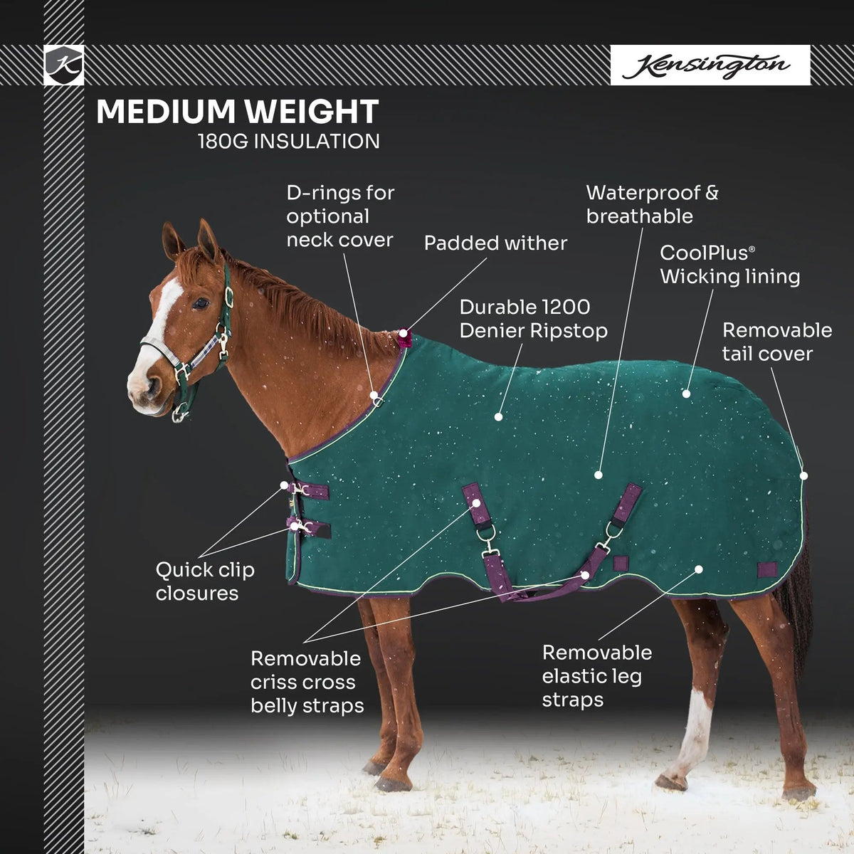 1200D Midweight 180g Horse Winter Turnout Blanket - Waterproof & Breathable