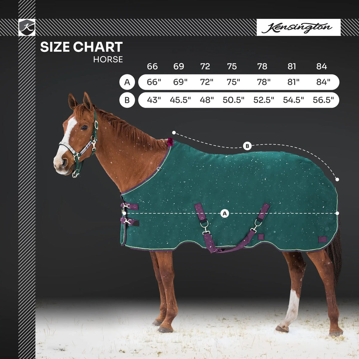 1200D Midweight 180g Horse Winter Turnout Blanket - Waterproof & Breathable