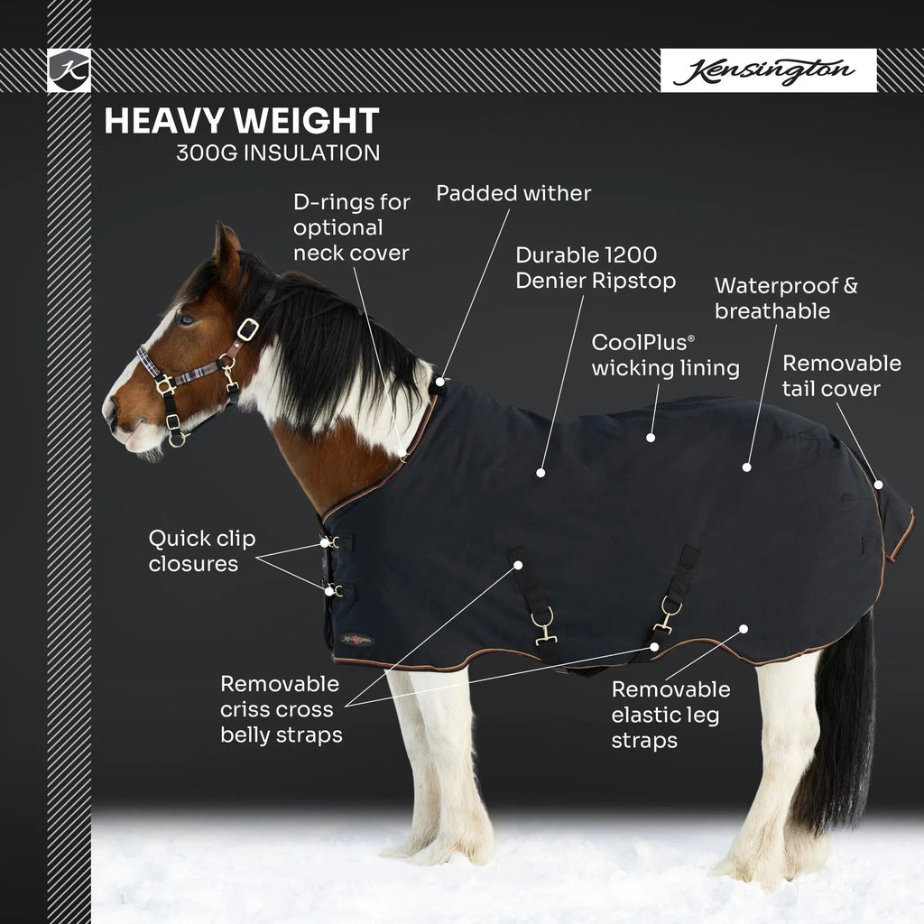 Draft Horse Heavyweight 300g Winter Turnout Blanket - Waterproof & Breathable