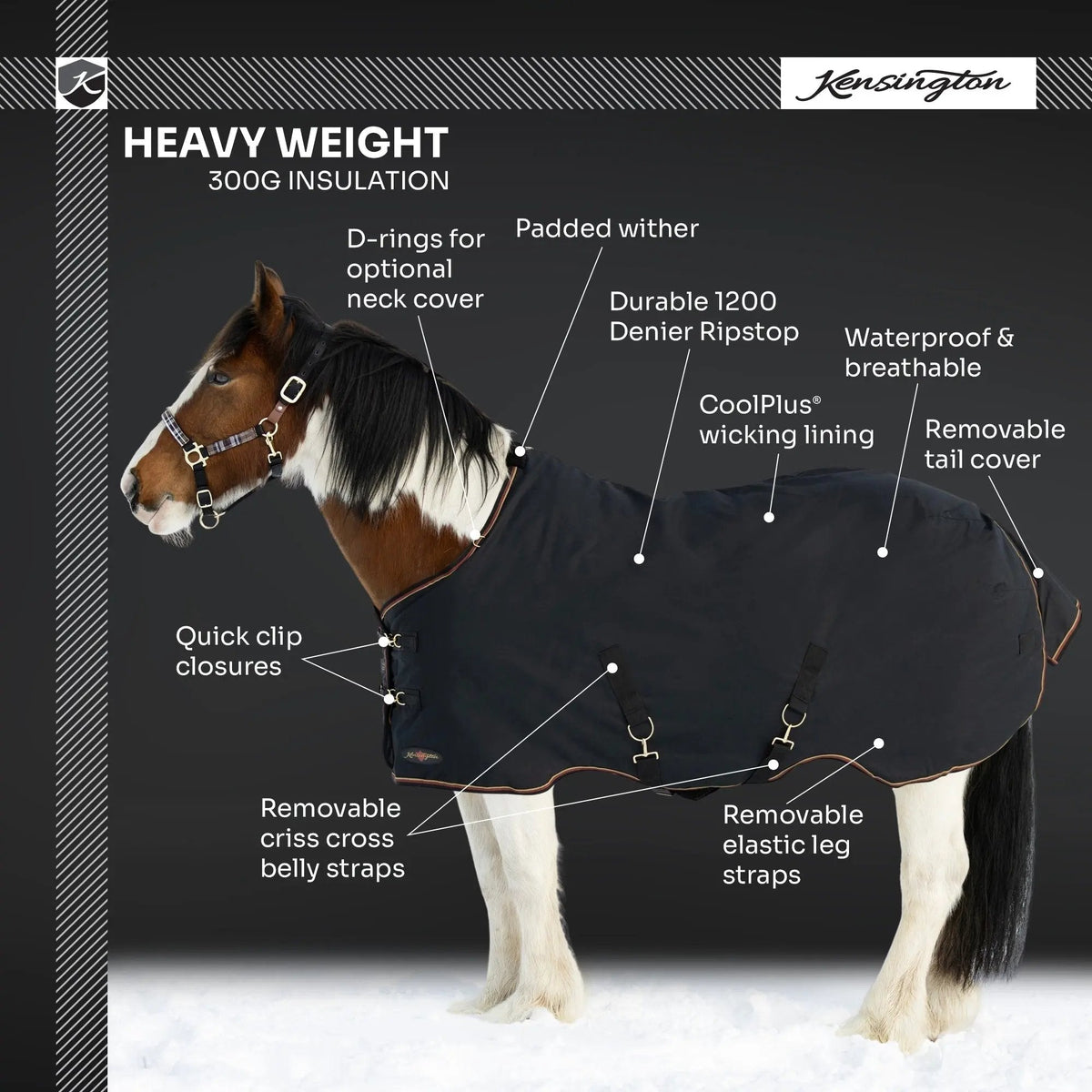 Draft Horse Heavyweight 300g Winter Turnout Blanket - Waterproof & Breathable
