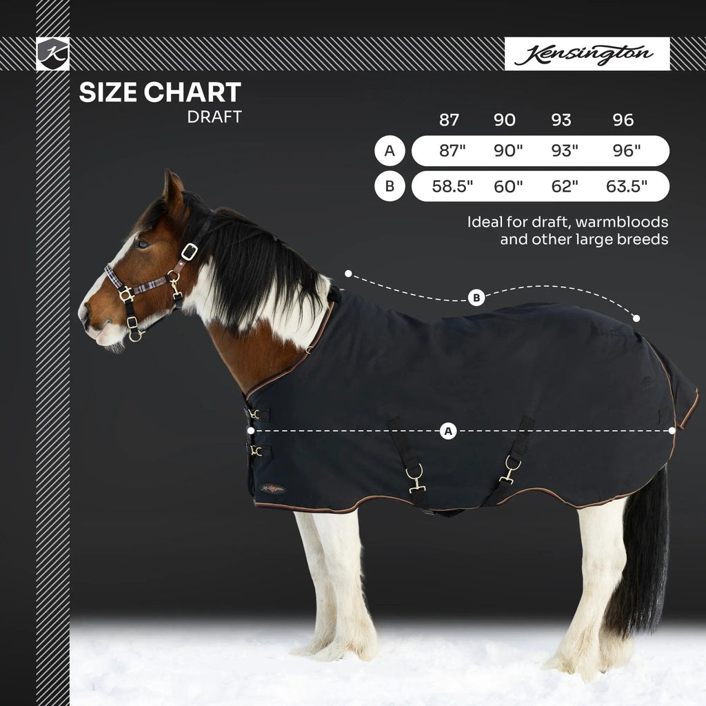 Draft Horse Heavyweight 300g Winter Turnout Blanket - Waterproof & Breathable