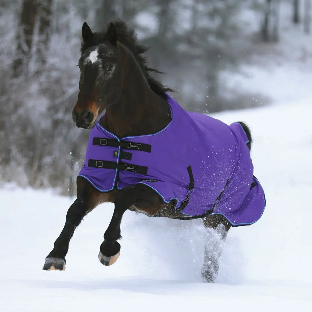 1200D Midweight 180g Horse Winter Turnout Blanket - Waterproof & Breathable