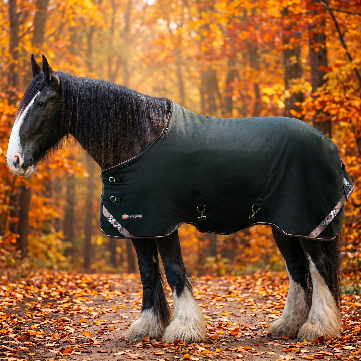 New Draft Horse Lightweight 80g Winter Turnout Blanket - Waterproof & Breathable