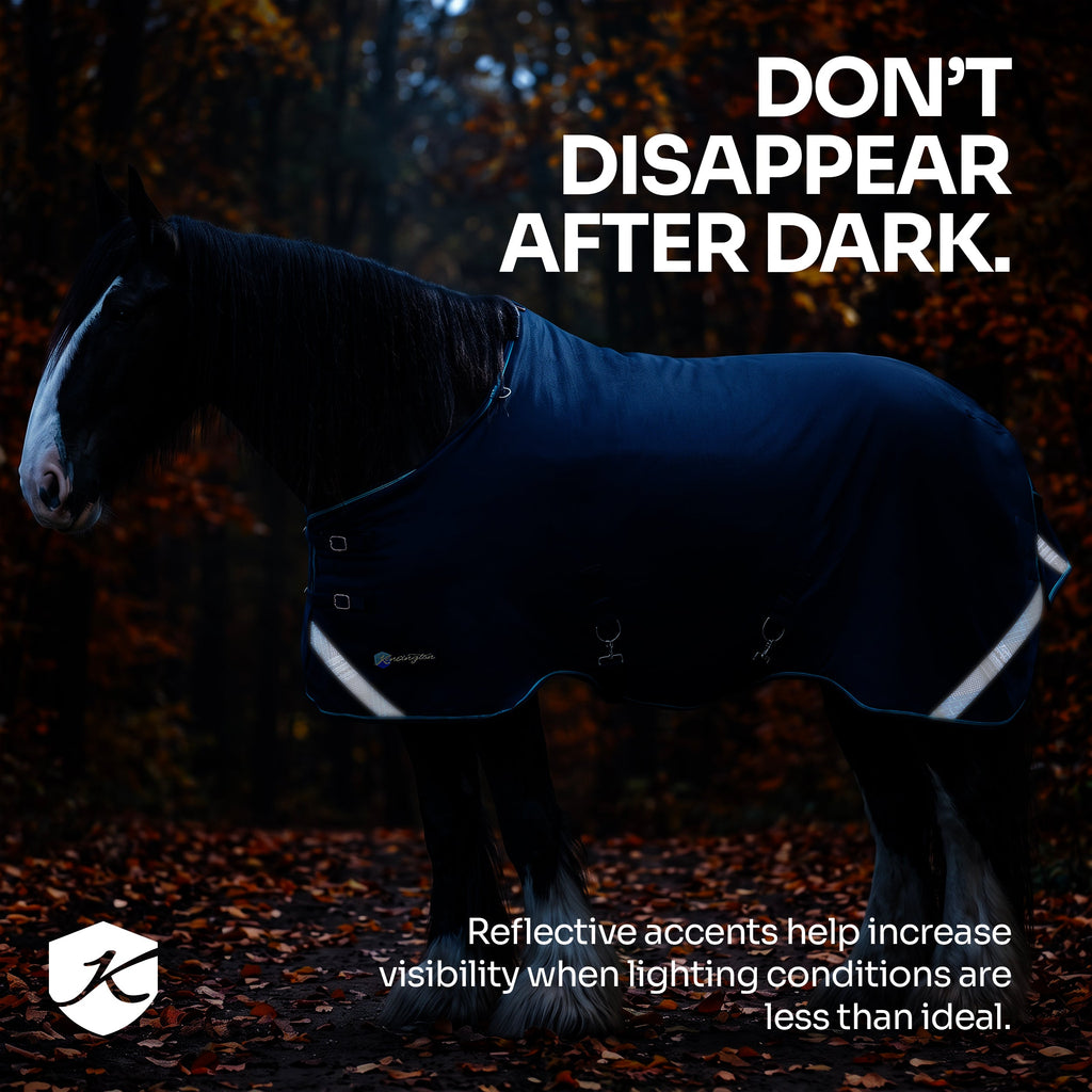 New Draft Horse Lightweight 80g Winter Turnout Blanket - Waterproof & Breathable
