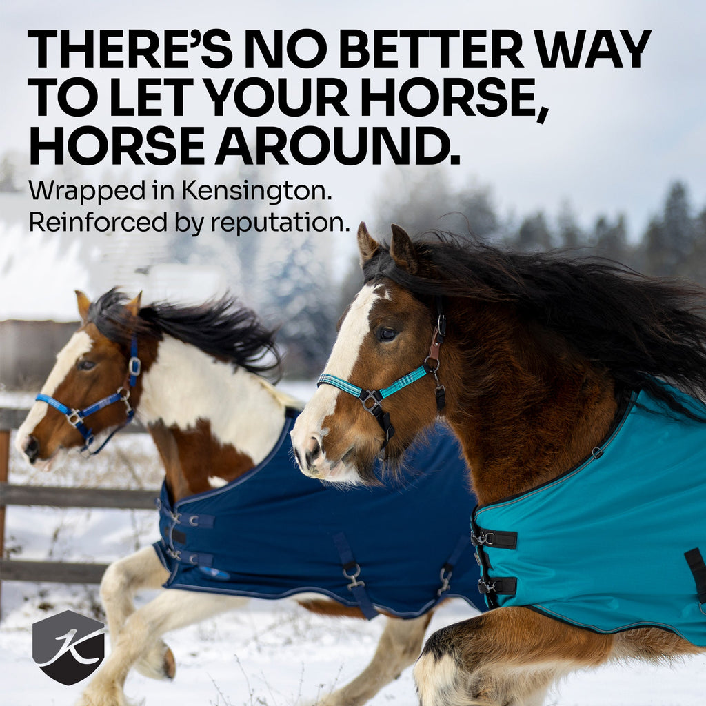 New 1200D Lightweight 80g Horse Winter Turnout Blanket - Waterproof & Breathable
