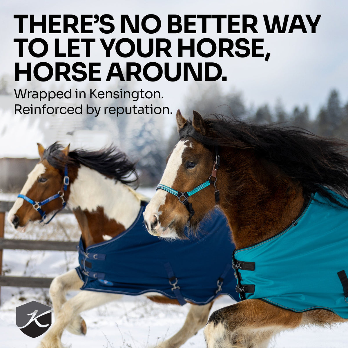 New 1200D Lightweight 80g Horse Winter Turnout Blanket - Waterproof & Breathable