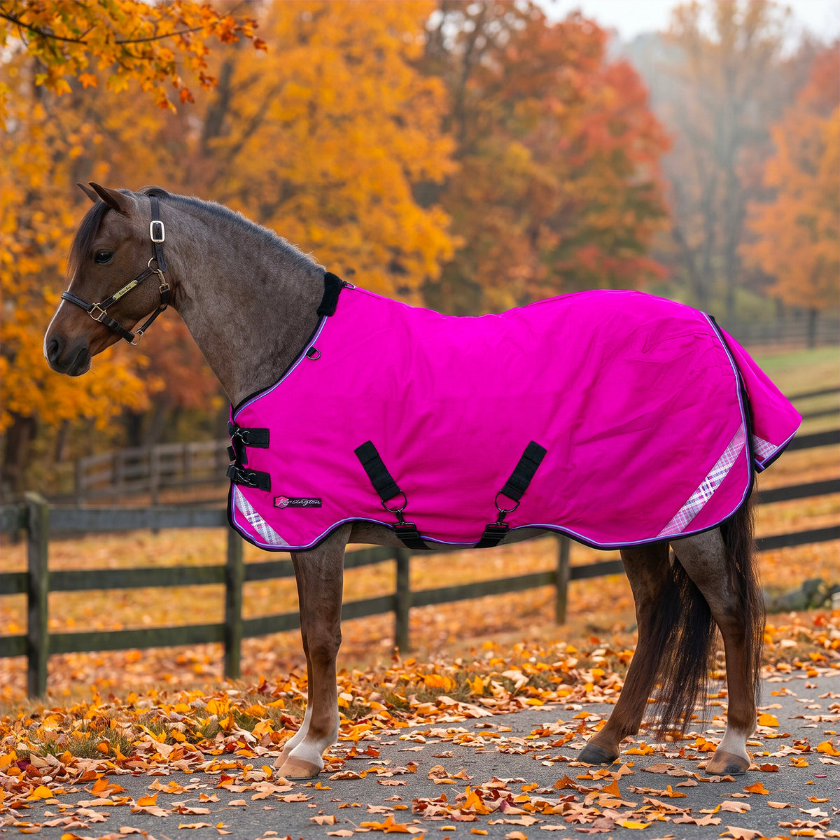 New Pony Lightweight 80g Horse Winter Turnout Blanket - Waterproof & Breathable