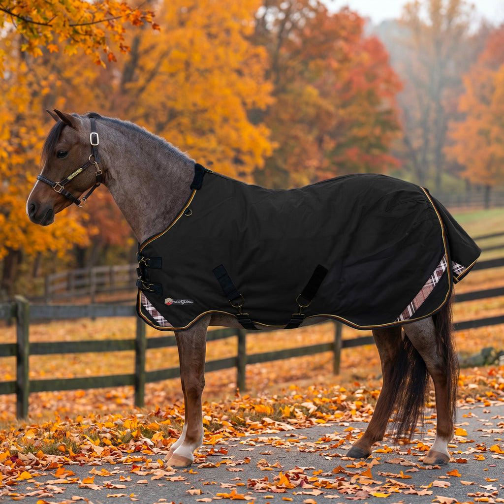 New Pony Lightweight 80g Horse Winter Turnout Blanket - Waterproof & Breathable