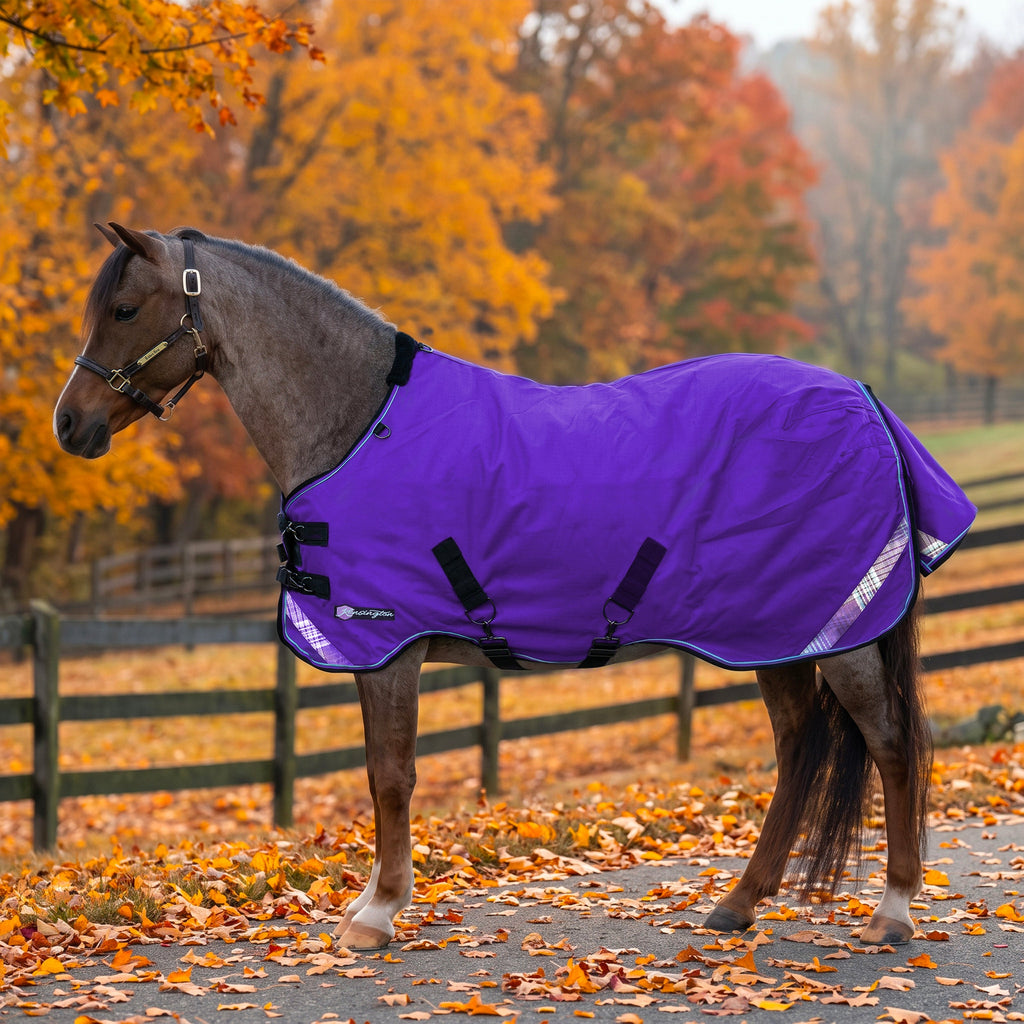 New Pony Lightweight 80g Horse Winter Turnout Blanket - Waterproof & Breathable