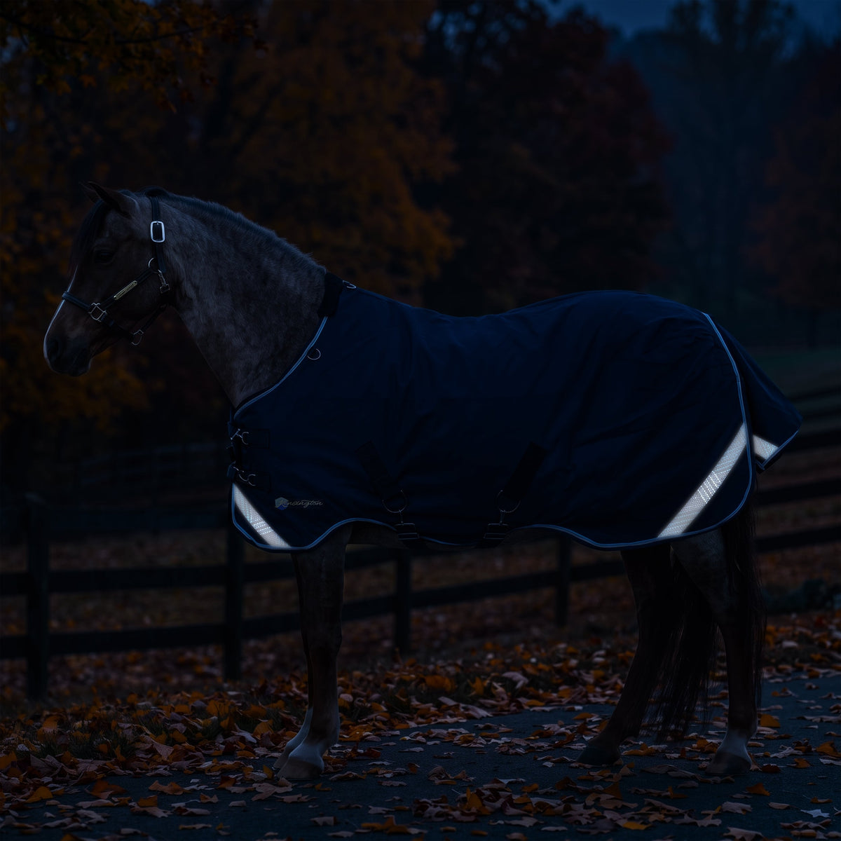 New Pony Lightweight 80g Horse Winter Turnout Blanket - Waterproof & Breathable