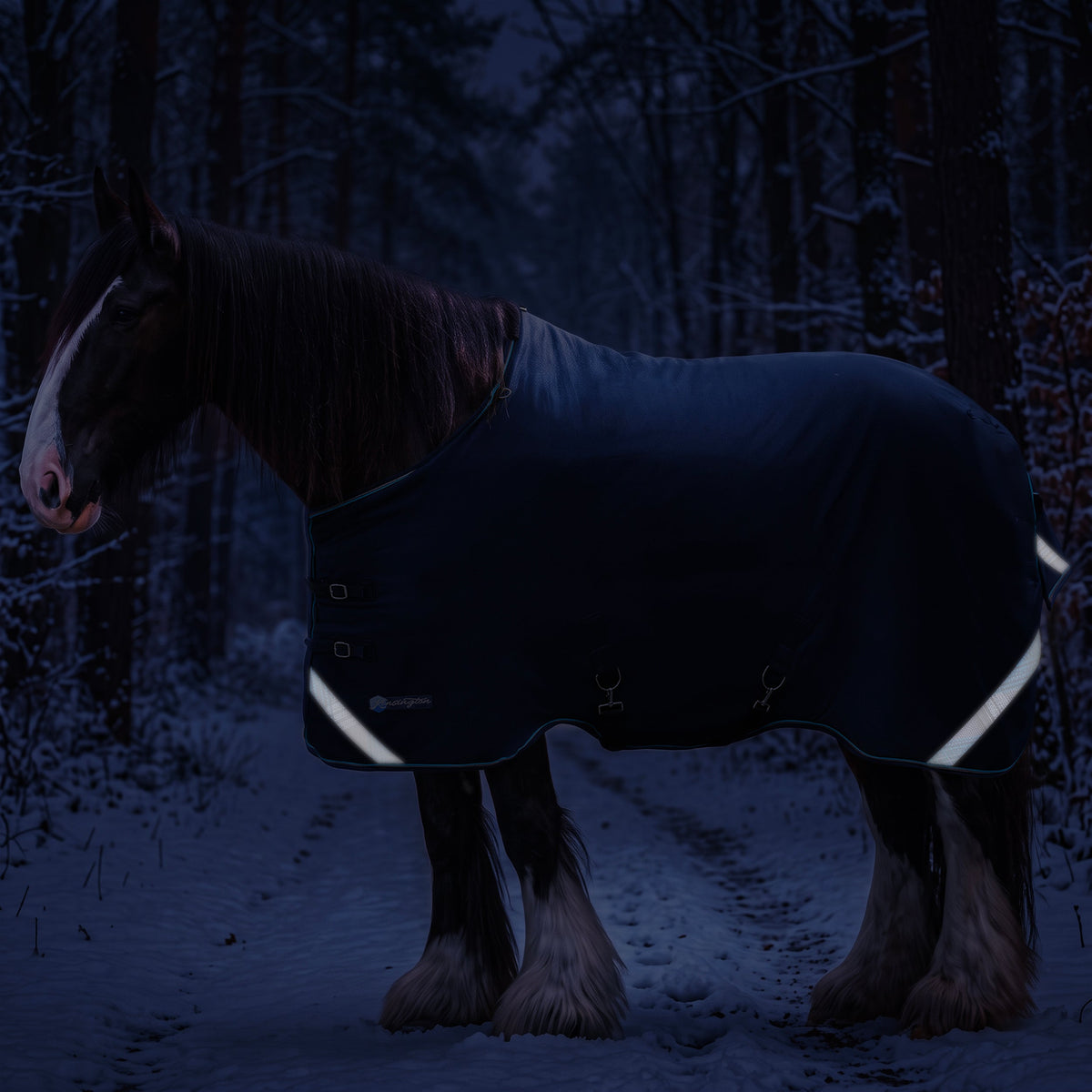 New Draft Horse Midweight 180g Winter Turnout Blanket - Waterproof & Breathable