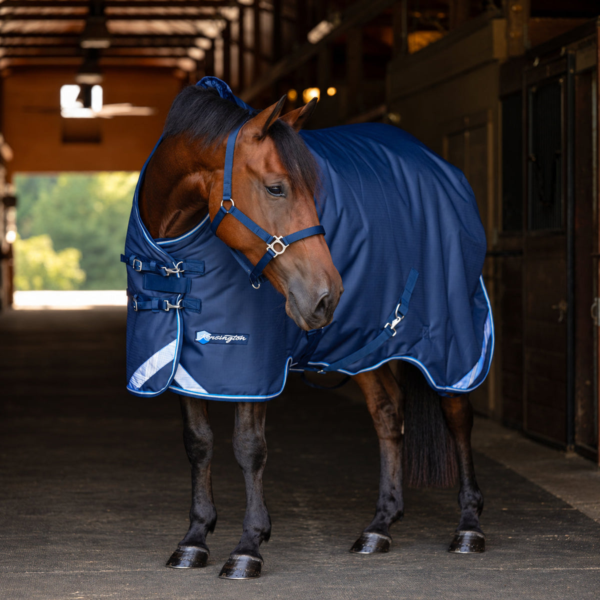 New 1200D Midweight 180g Horse Winter Turnout Blanket - Waterproof & Breathable