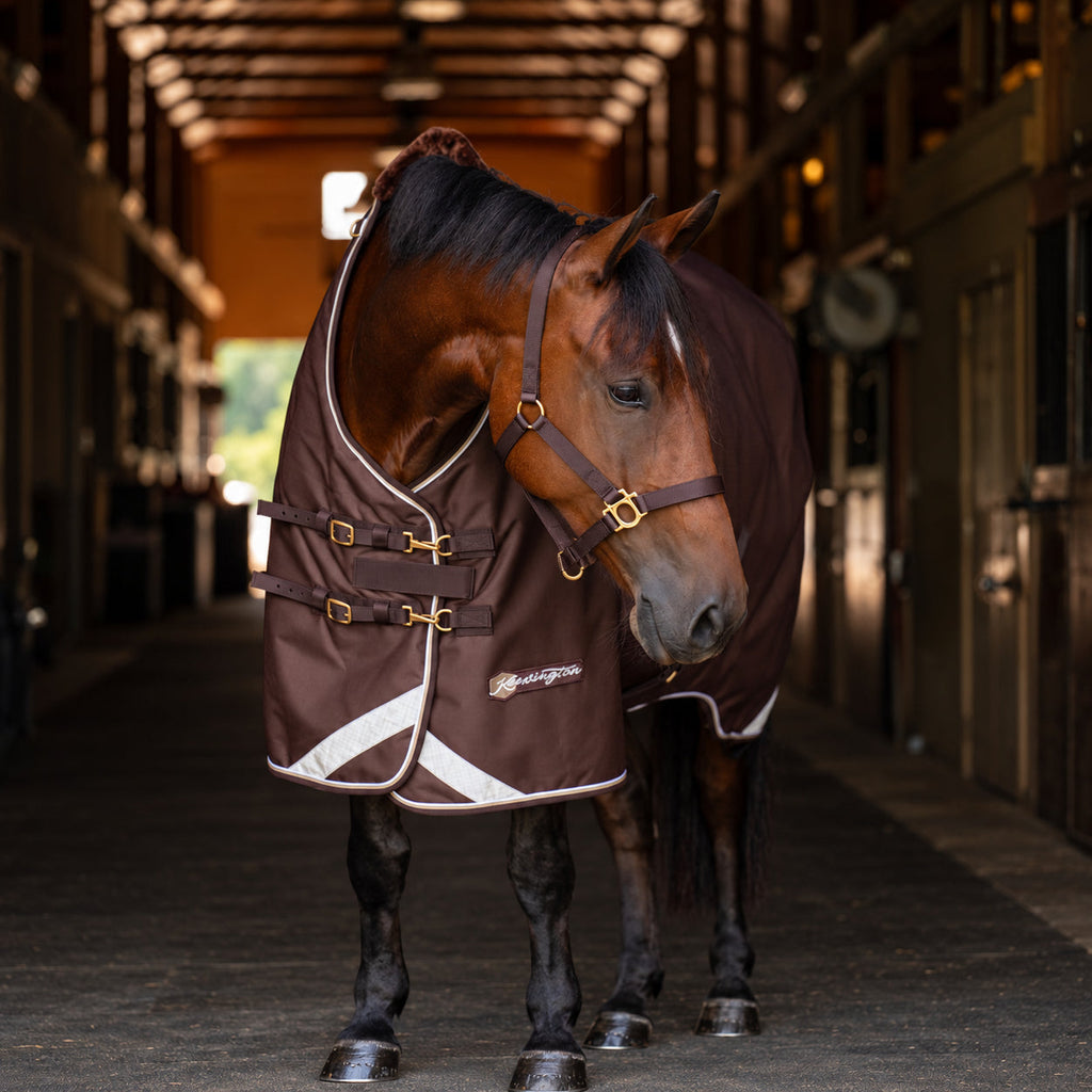 New 1200D Midweight 180g Horse Winter Turnout Blanket - Waterproof & Breathable