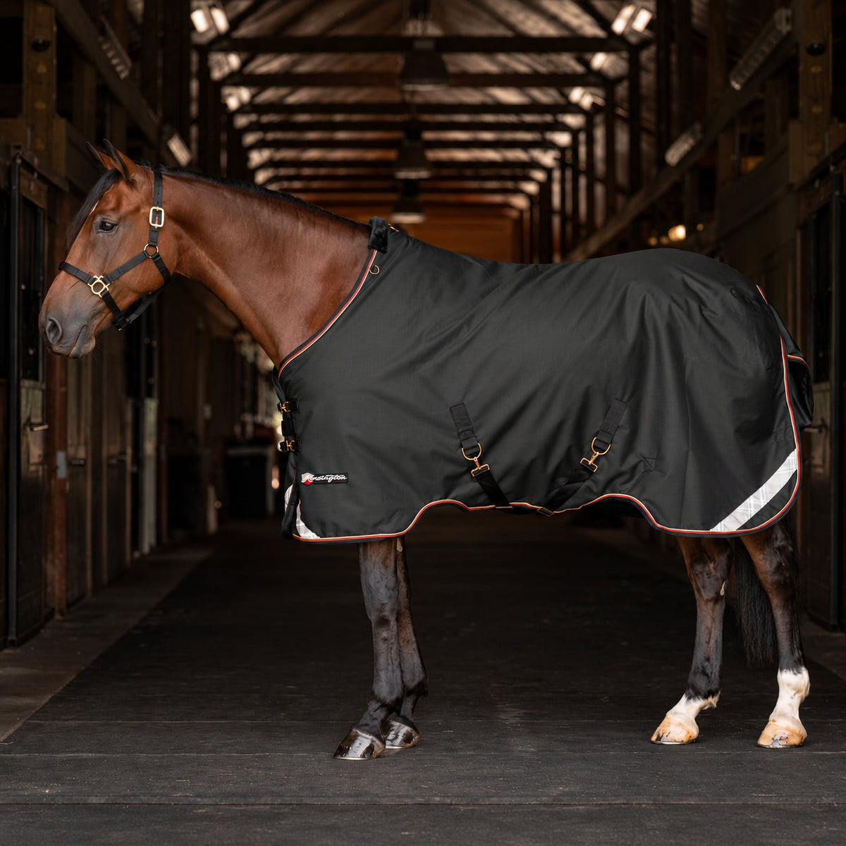 New 1200D Midweight 180g Horse Winter Turnout Blanket - Waterproof & Breathable