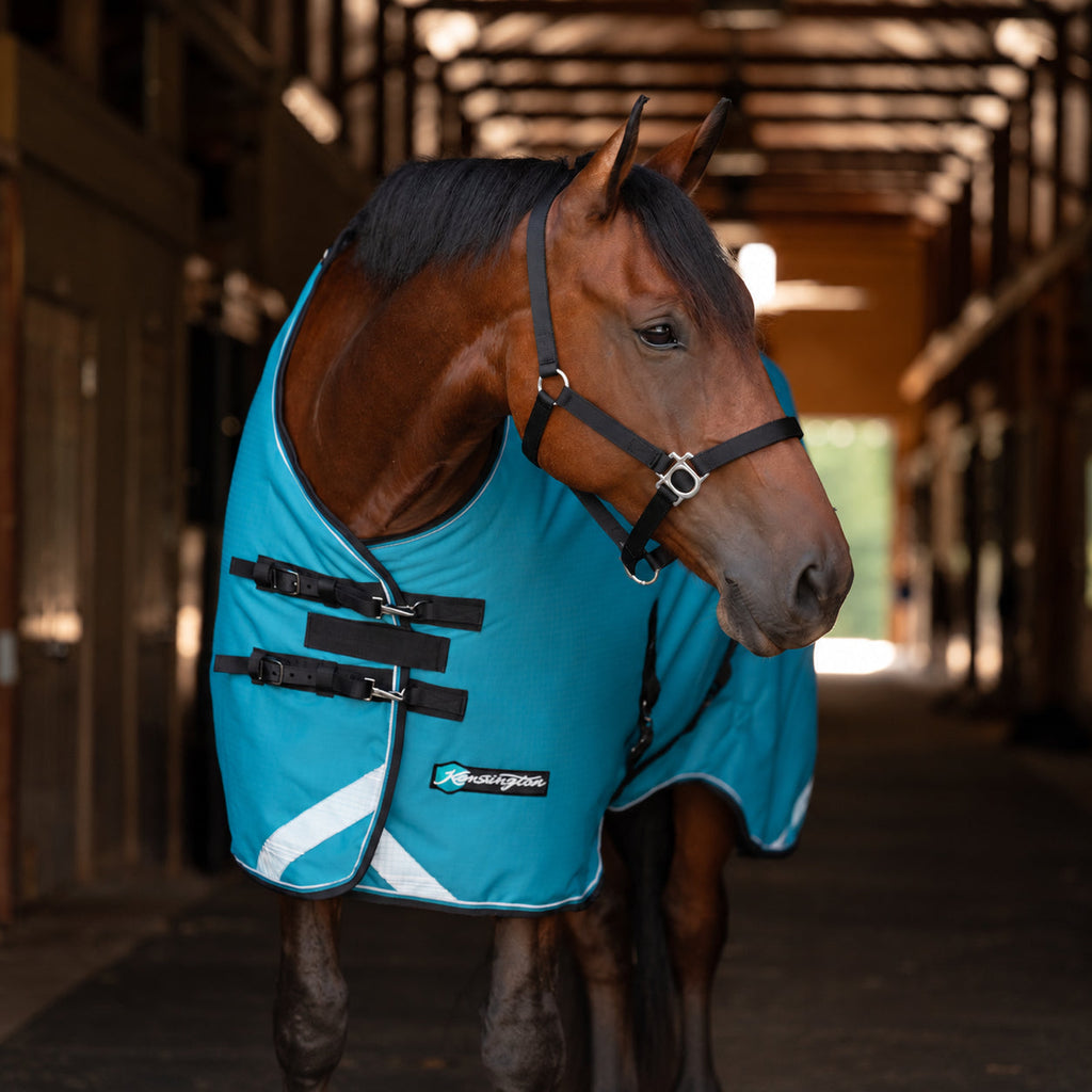 New 1200D Midweight 180g Horse Winter Turnout Blanket - Waterproof & Breathable