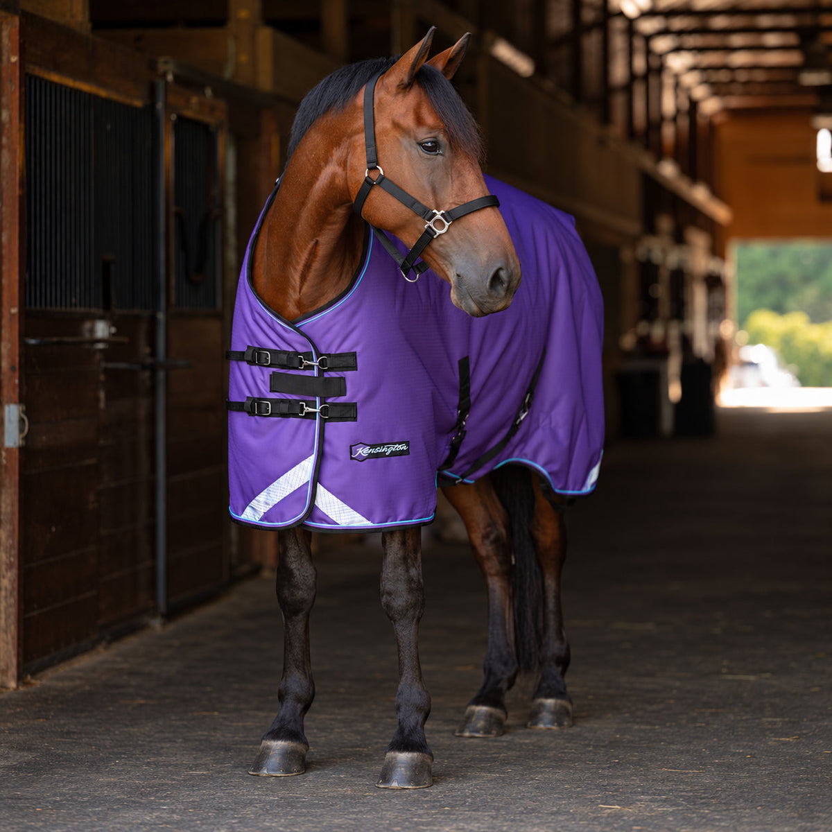 New 1200D Midweight 180g Horse Winter Turnout Blanket - Waterproof & Breathable