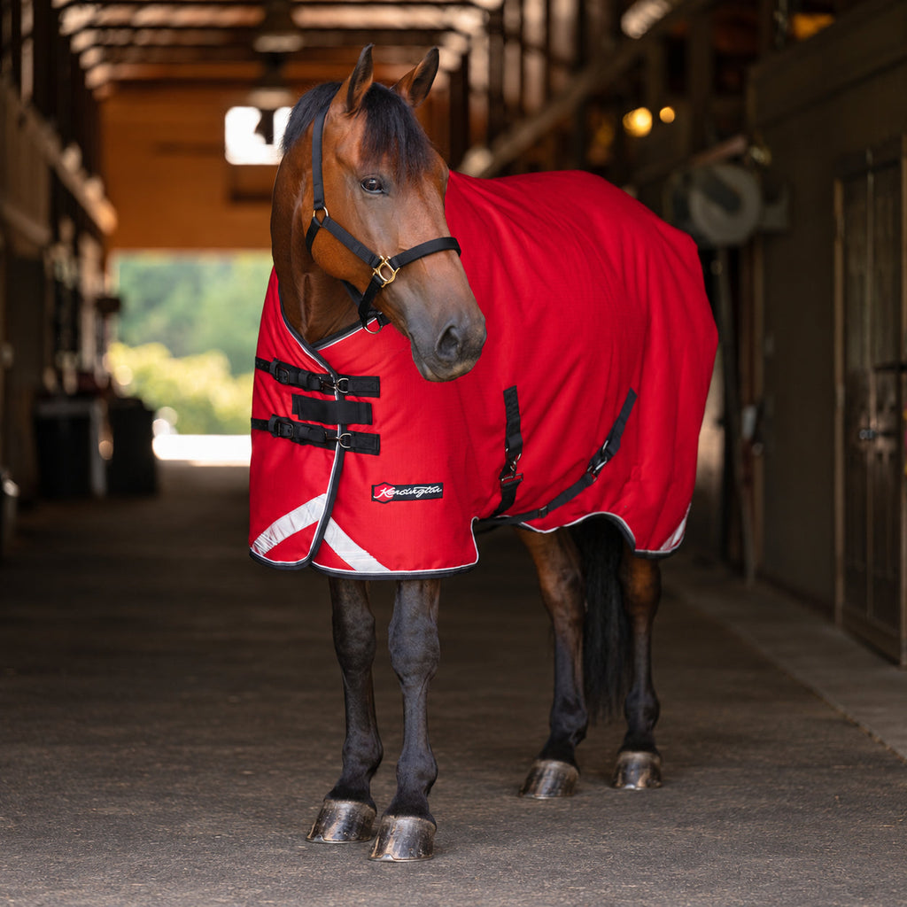 New 1200D Midweight 180g Horse Winter Turnout Blanket - Waterproof & Breathable