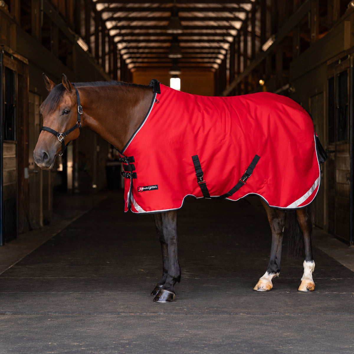 New 1200D Midweight 180g Horse Winter Turnout Blanket - Waterproof & Breathable