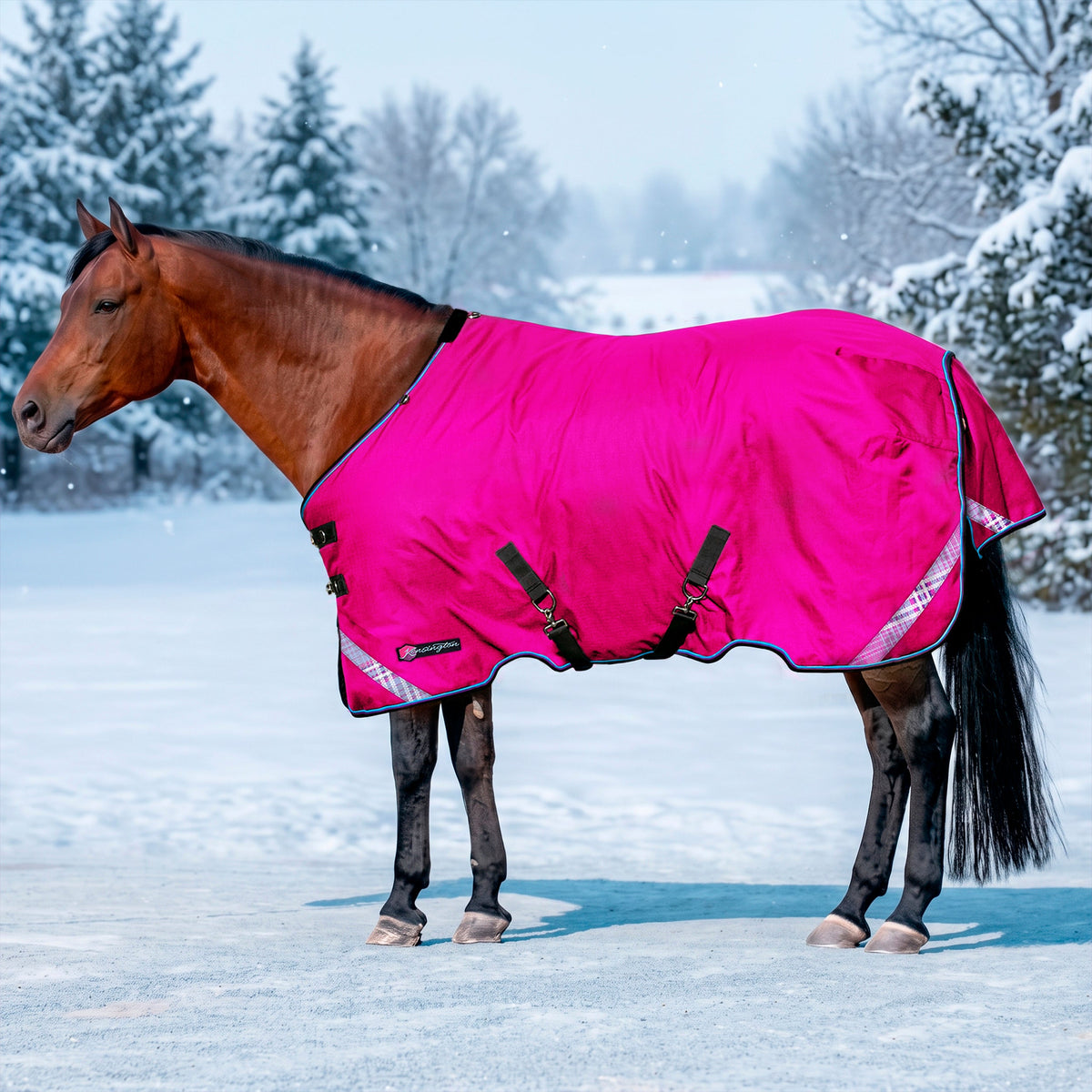 New 1200D Midweight 180g Horse Winter Turnout Blanket - Waterproof & Breathable