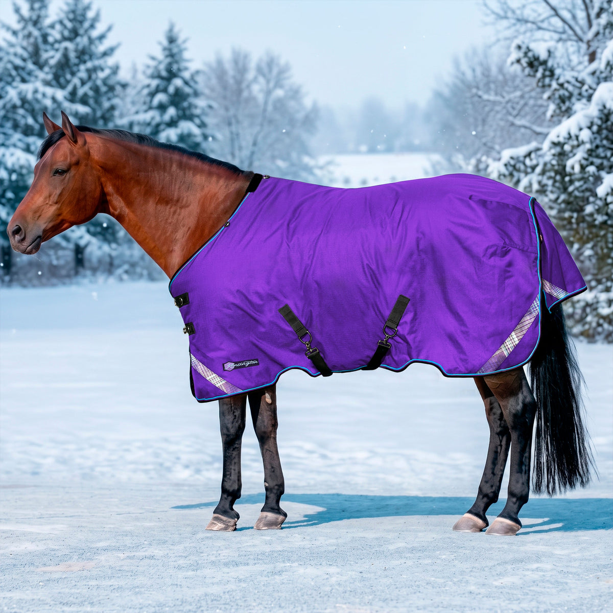 New 1200D Midweight 180g Horse Winter Turnout Blanket - Waterproof & Breathable