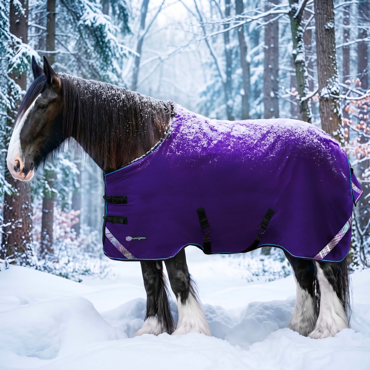 New Draft Horse Heavyweight 300g Winter Turnout Blanket - Waterproof & Breathable