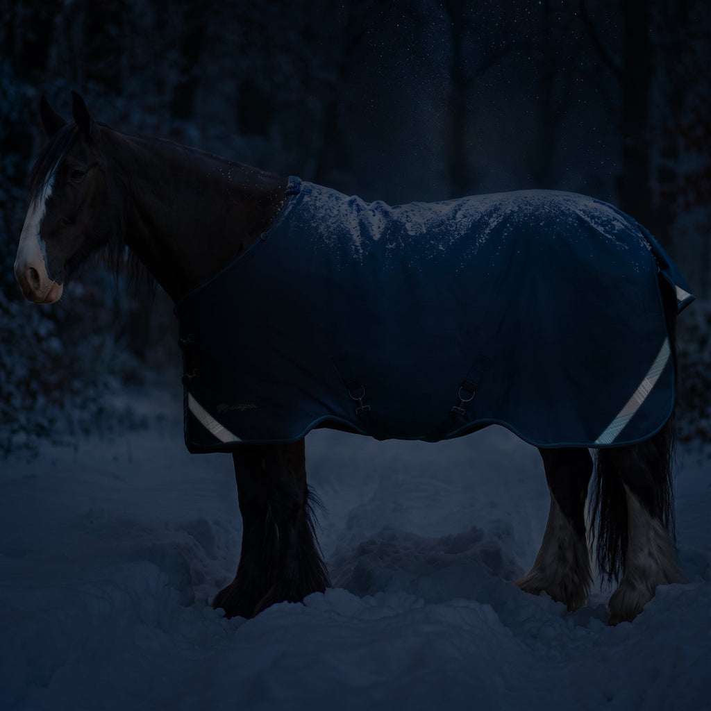 New Draft Horse Heavyweight 300g Winter Turnout Blanket - Waterproof & Breathable