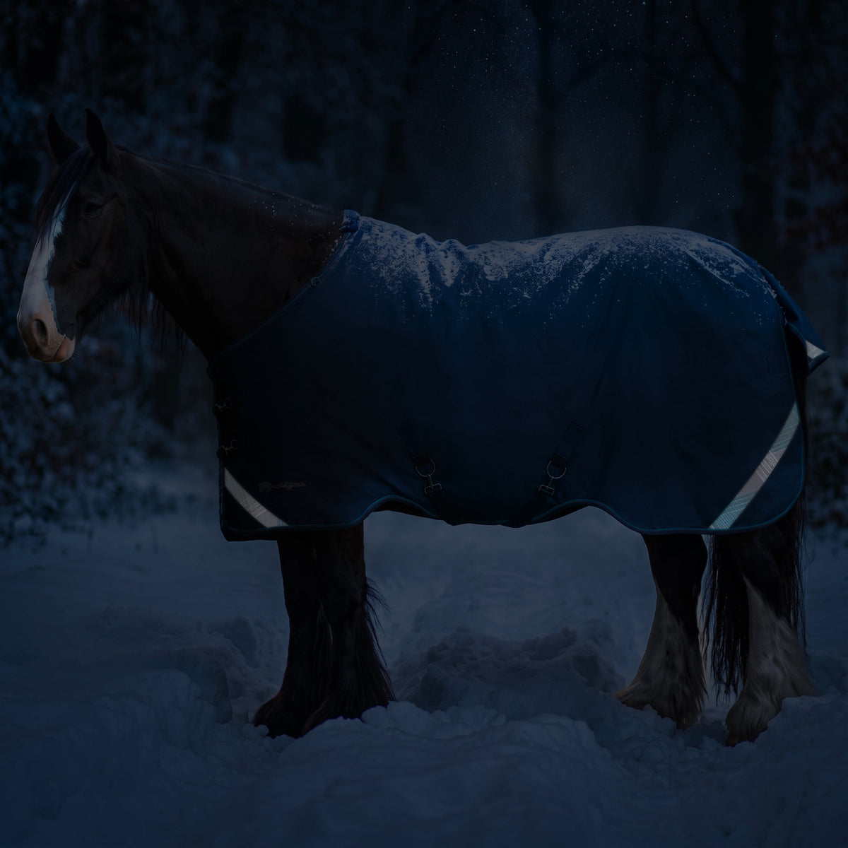 New Draft Horse Heavyweight 300g Winter Turnout Blanket - Waterproof & Breathable