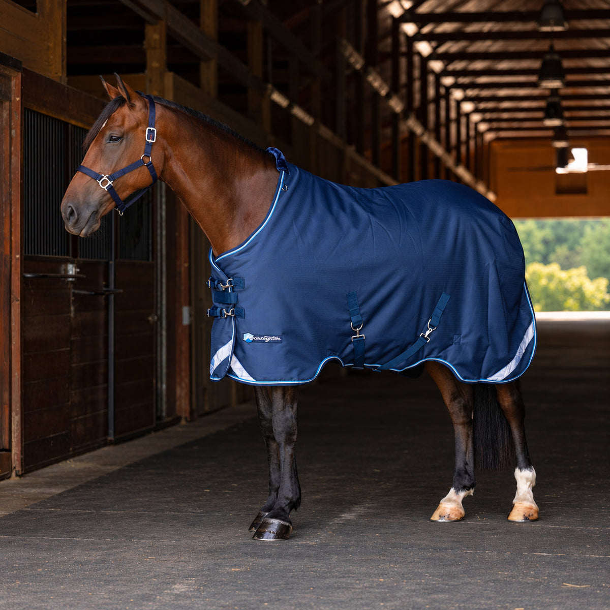 New 1200D Heavyweight 300g Horse Winter Turnout Blanket - Waterproof & Breathable