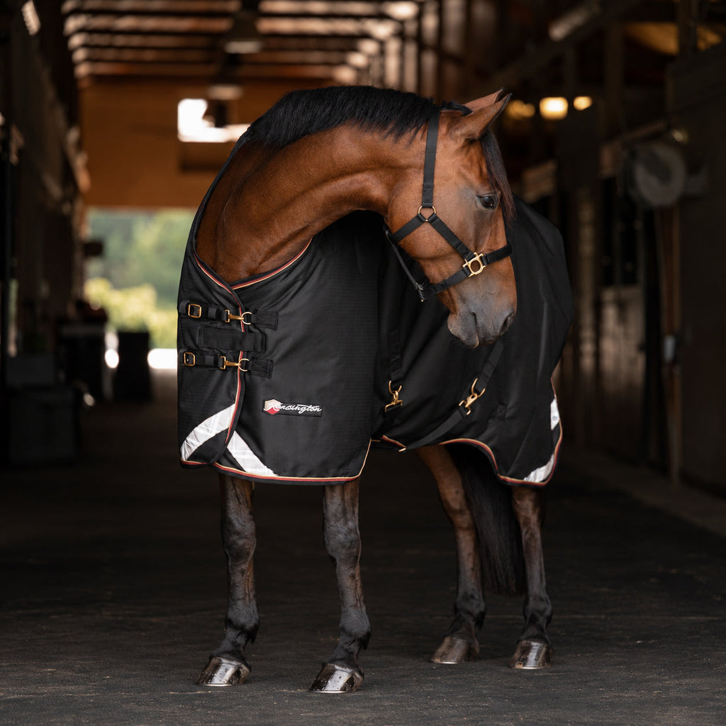 New 1200D Heavyweight 300g Horse Winter Turnout Blanket - Waterproof & Breathable
