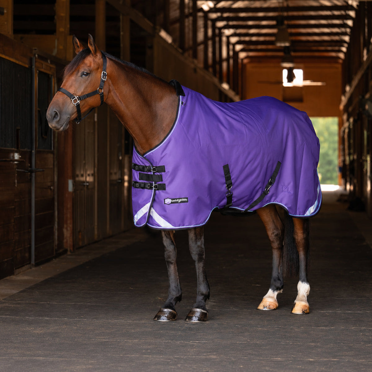 New 1200D Heavyweight 300g Horse Winter Turnout Blanket - Waterproof & Breathable