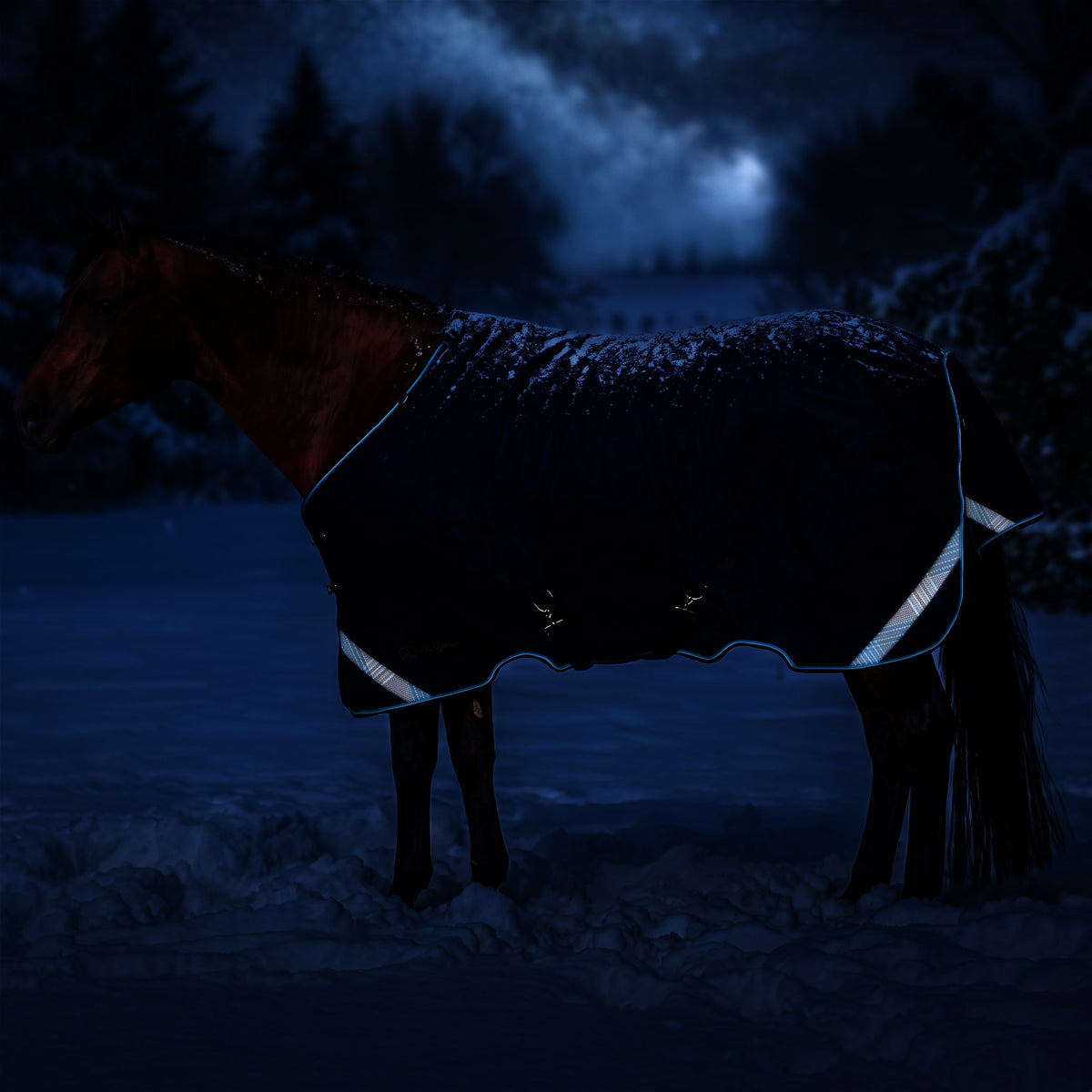 New 1200D Heavyweight 300g Horse Winter Turnout Blanket - Waterproof & Breathable