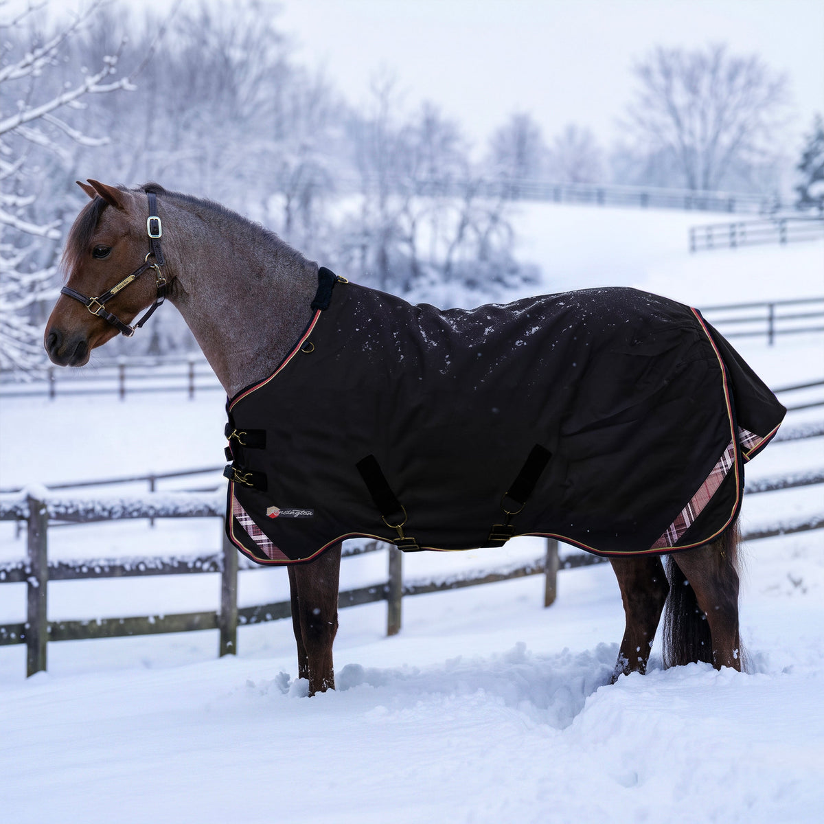 New Pony Heavyweight 300g Horse Winter Turnout Blanket - Waterproof & Breathable