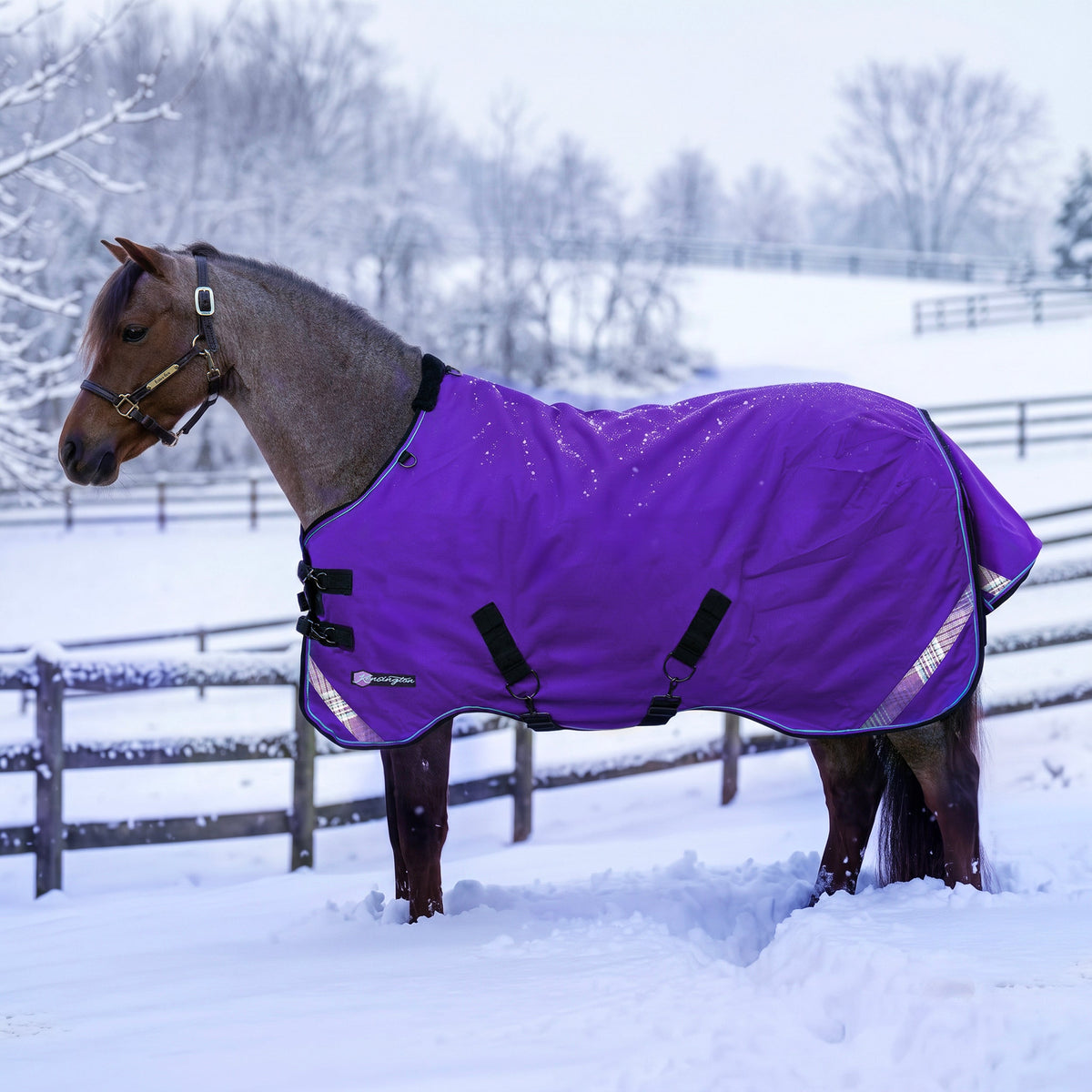 New Pony Heavyweight 300g Horse Winter Turnout Blanket - Waterproof & Breathable