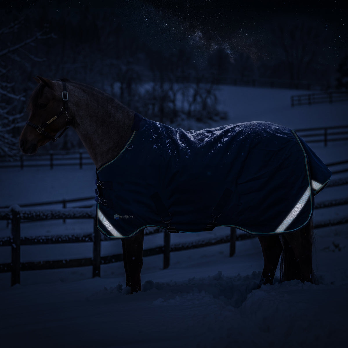 New Pony Heavyweight 300g Horse Winter Turnout Blanket - Waterproof & Breathable