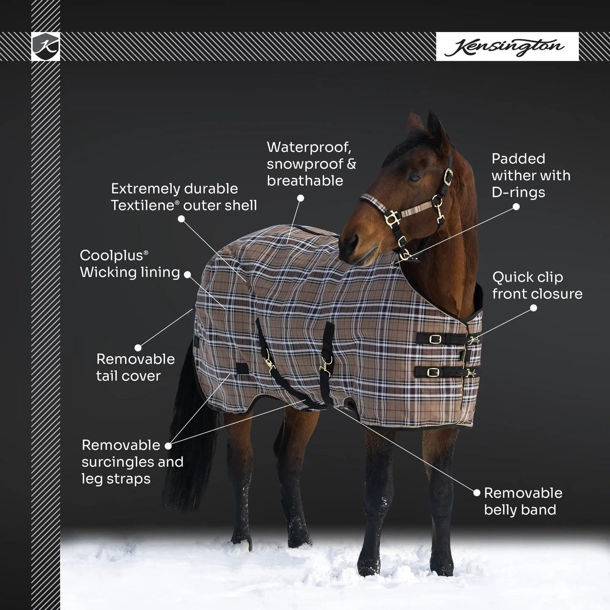 SuperMesh® Winter Turnout Blanket & Blanket Storage Bag