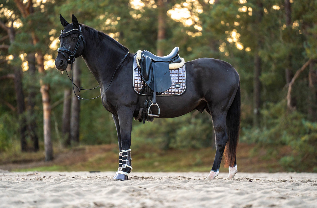 Spaceship Grey Saddle Pad Set