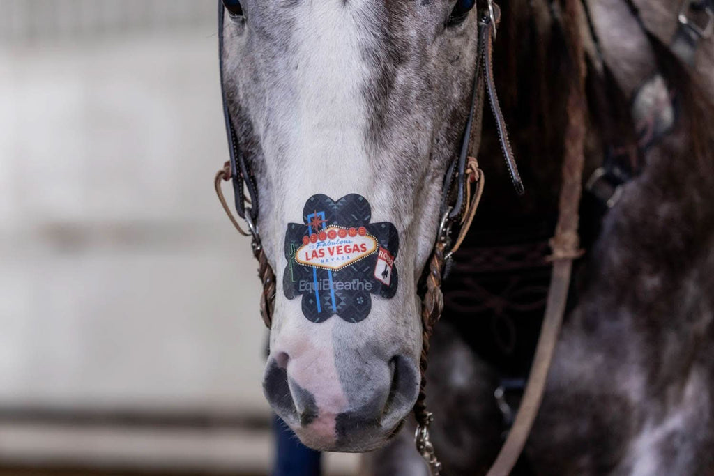 EquiBreathe™ Equine Nasal Patch - Vegas