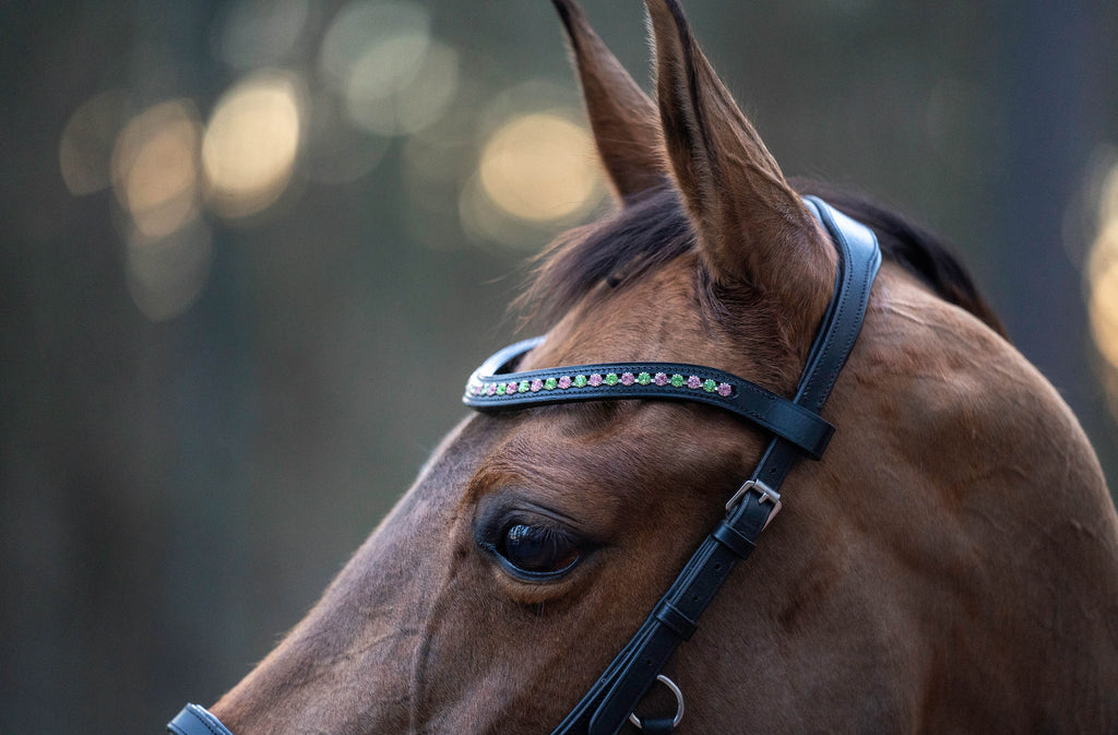 Teaparty Green Saddle Pad Set (Limited Edition)