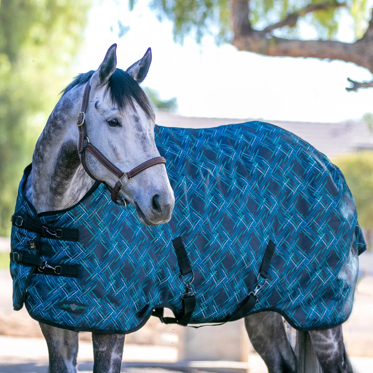 1200D Lightweight 80g Horse Winter Turnout Blanket - Waterproof & Breathable