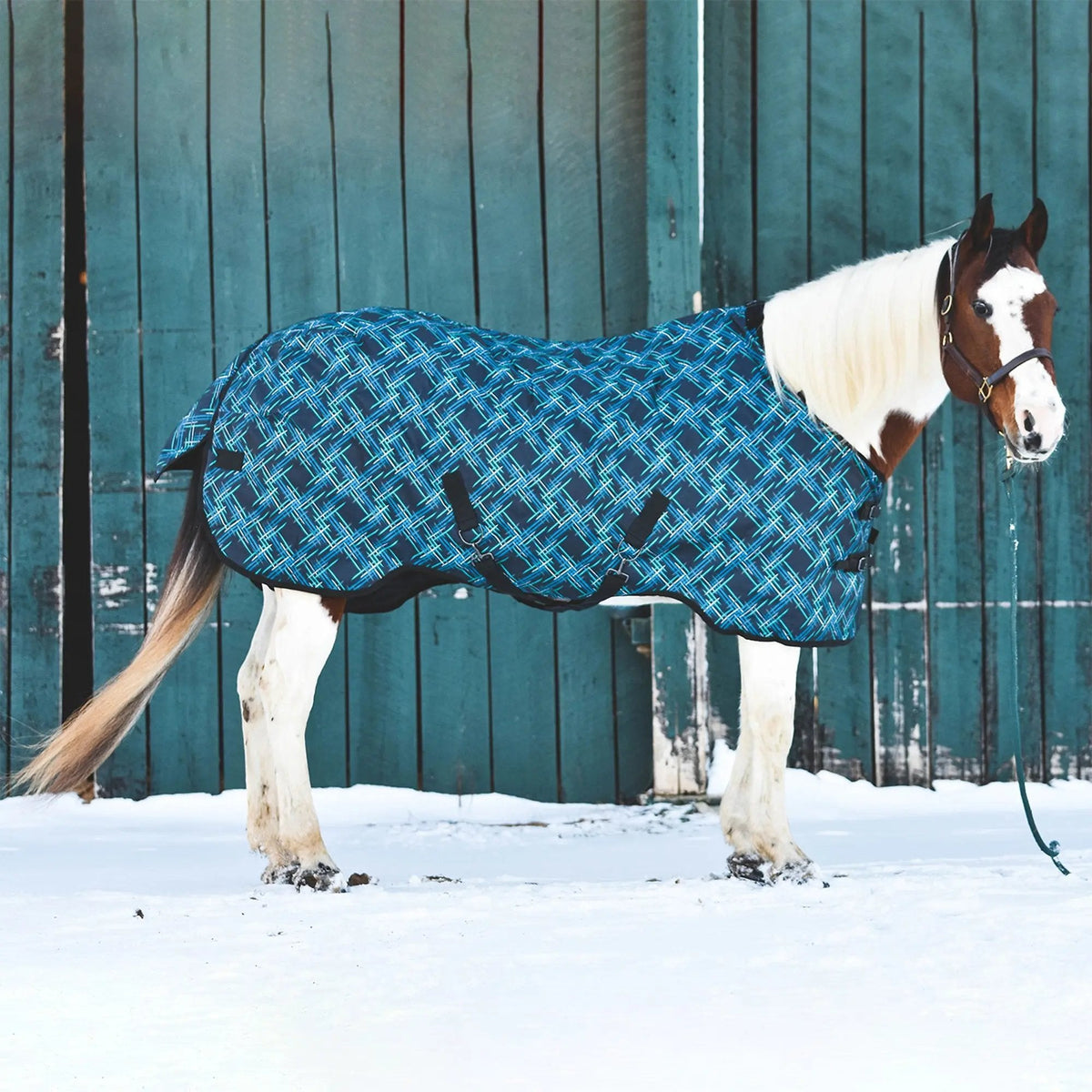 1200D Midweight 180g Horse Winter Turnout Blanket - Waterproof & Breathable