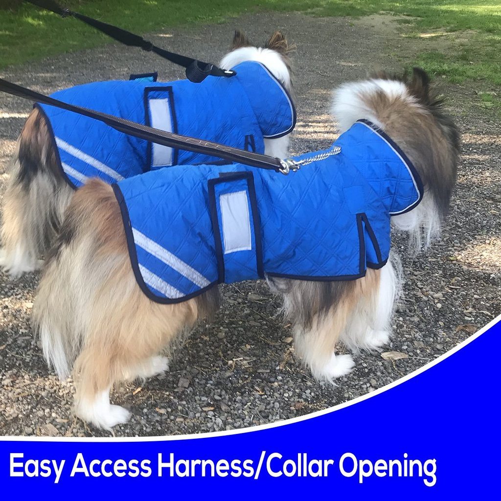 Derby Originals Hydro Cooling Dog Jacket – Reflective Evaporative Cooling Vest with Adjustable Belly Band & Harness Opening, Lightweight UV Protection Coat for Hot Weather & Outdoor Dogs