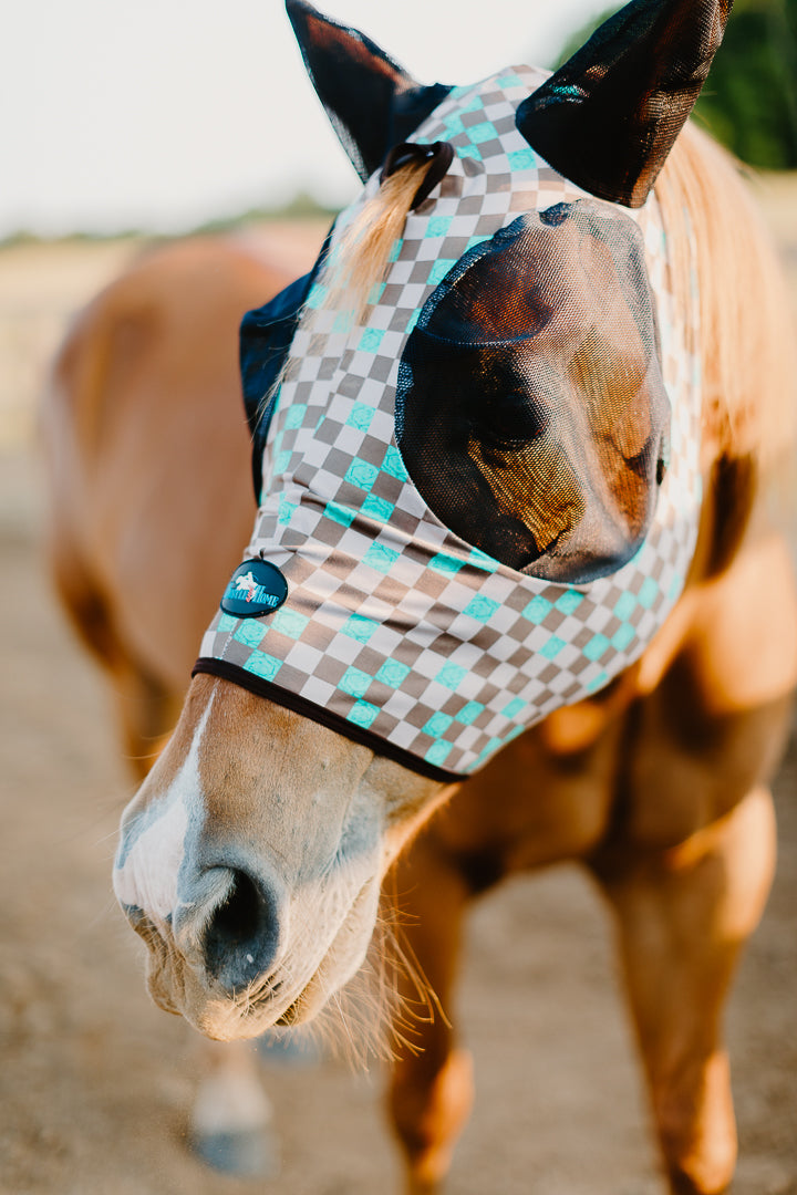 Check Me Out Fly Mask