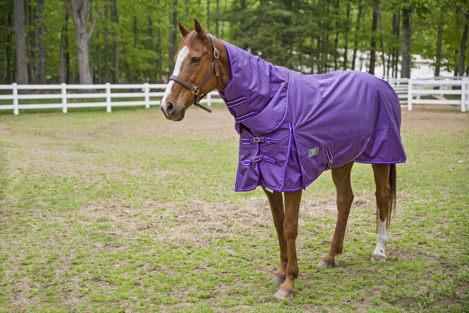 TuffRider 1680 D Super Comfy Winter Ripstop Turnout Blanket Heavy Weight 350 GSM Detachable Neck